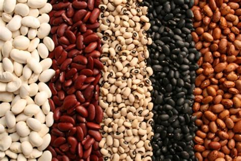 How many protein are in big bean bar - calories, carbs, nutrition