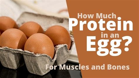 How many protein are in bite - calories, carbs, nutrition