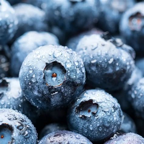 How many protein are in blueberry crisp (10607.6) - calories, carbs, nutrition