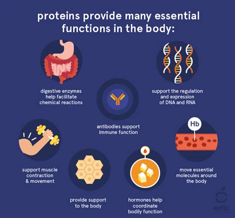 How many protein are in body by vie - calories, carbs, nutrition