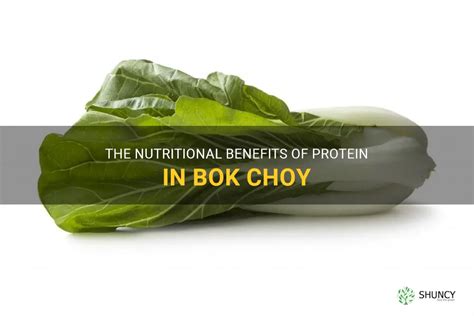 How many protein are in bok choy - calories, carbs, nutrition
