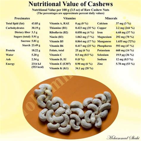 How many protein are in bombay curried cashews - calories, carbs, nutrition