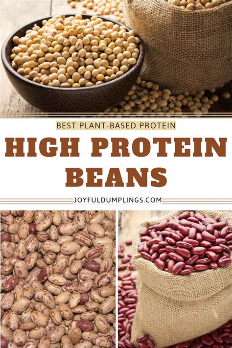 How many protein are in boracho beans - calories, carbs, nutrition