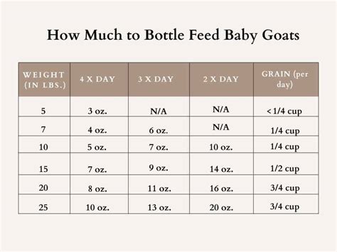 How many protein are in bottle - calories, carbs, nutrition