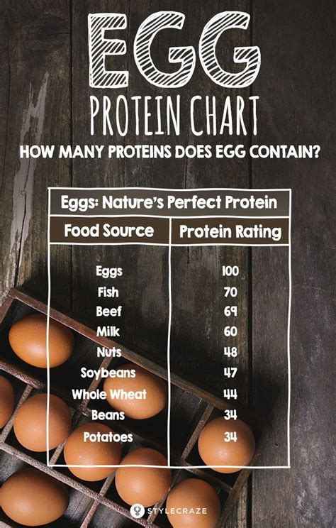 How many protein are in breakfast bar - calories, carbs, nutrition