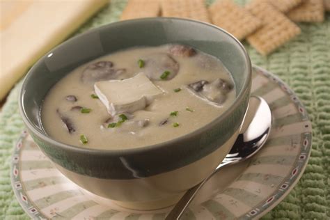 How many protein are in brie and mushroom soup - calories, carbs, nutrition