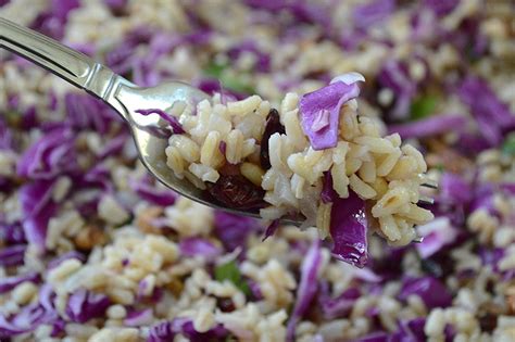 How many protein are in brown rice and barley salad - calories, carbs, nutrition