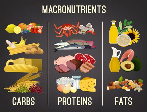 How many protein are in carbohydrates - calories, carbs, nutrition