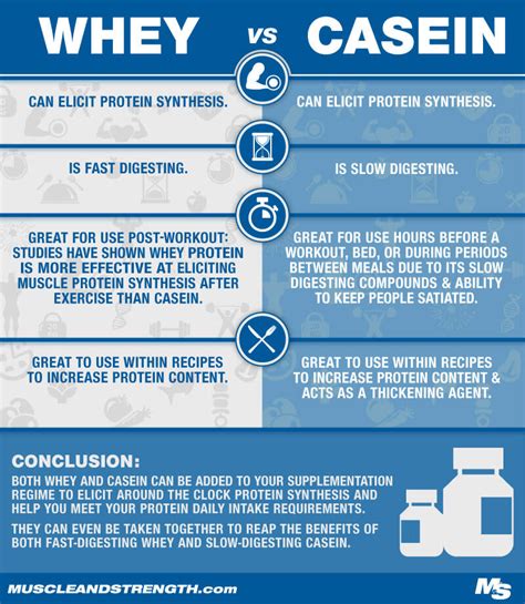 How many protein are in casein protein shake - calories, carbs, nutrition