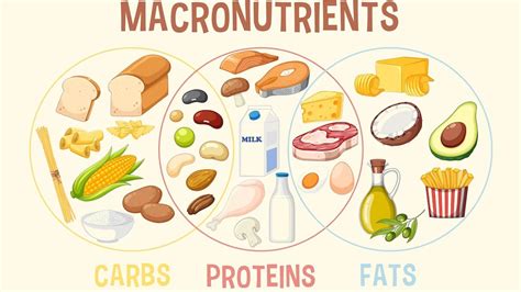 How many protein are in center of the roll - calories, carbs, nutrition