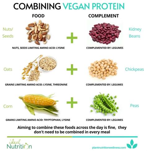 How many protein are in chai - calories, carbs, nutrition