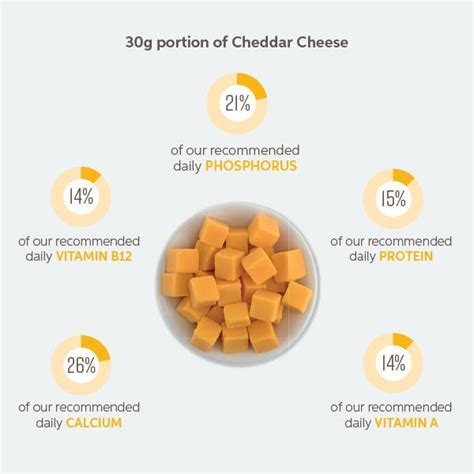 How many protein are in cheddar cheese sausage - calories, carbs, nutrition