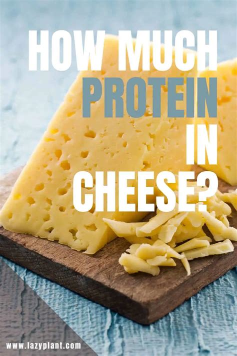 How many protein are in cheese blintz - calories, carbs, nutrition