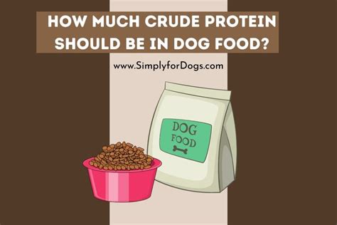 How many protein are in chicago dog - calories, carbs, nutrition