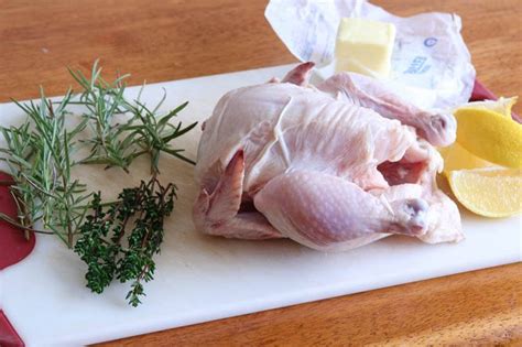 How many protein are in chicken, cornish game hens, meat and skin, cooked, roasted - calories, carbs, nutrition