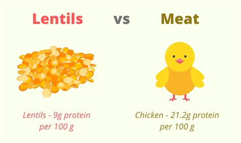 How many protein are in chicken and lentils vindaloo - calories, carbs, nutrition