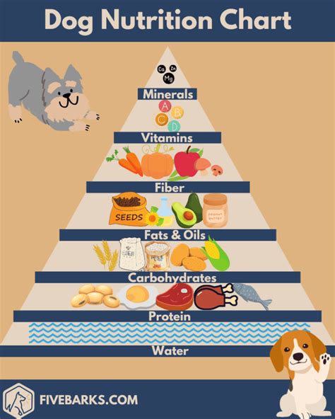 How many protein are in chihuahua dog - calories, carbs, nutrition