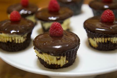 How many protein are in chocolate cheesecake cupcake - calories, carbs, nutrition