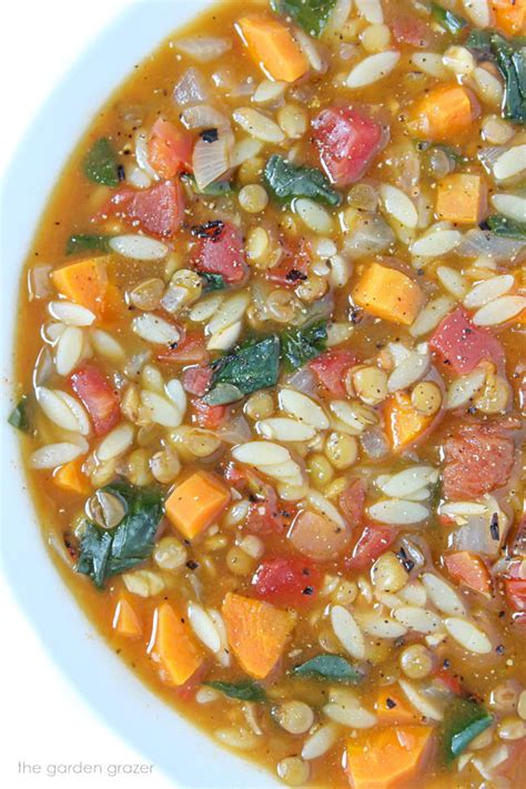 How many protein are in cilantro lentil and orzo soup 8 oz - calories, carbs, nutrition