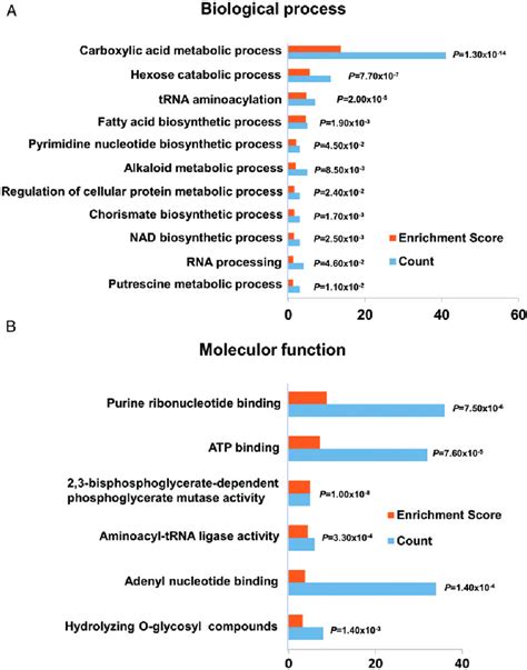 How many protein are in cobb - calories, carbs, nutrition