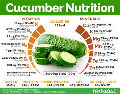 How many protein are in cucumber - calories, carbs, nutrition