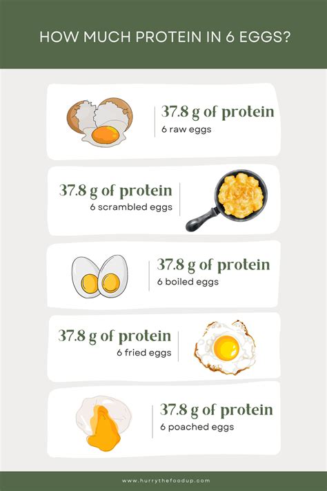 How many protein are in denver scramble - calories, carbs, nutrition