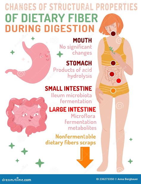 How many protein are in digestive health - calories, carbs, nutrition