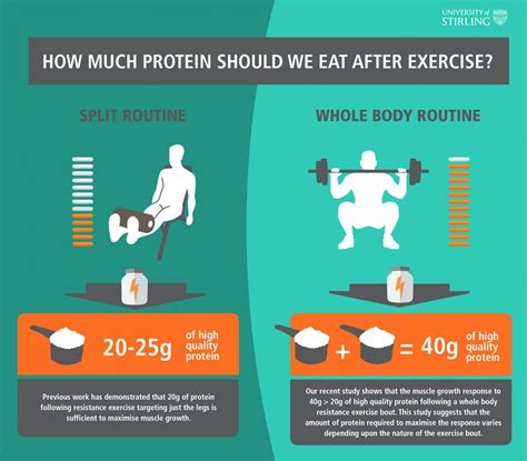 How many protein are in exercise shake - calories, carbs, nutrition