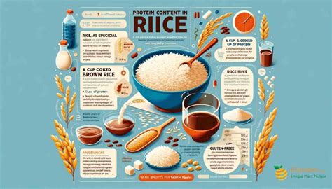 How many protein are in fiesta rice - calories, carbs, nutrition