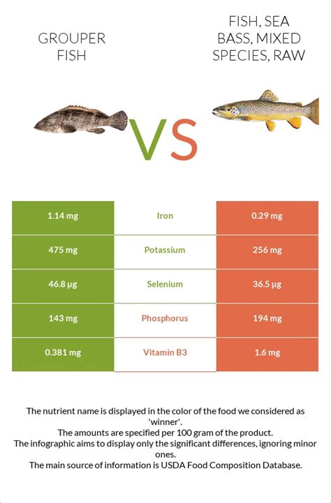 How many protein are in fish, grouper, mixed species, raw - calories, carbs, nutrition