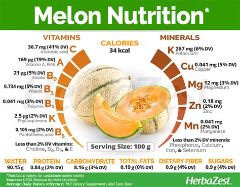 How many protein are in fresh cantaloupe (18951.0) - calories, carbs, nutrition