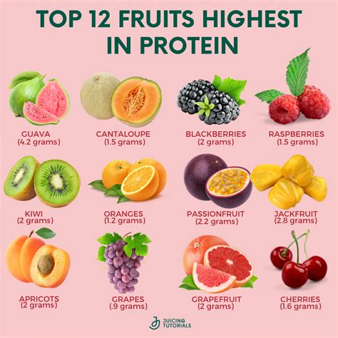 How many protein are in fresh fruit - calories, carbs, nutrition