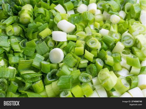How many protein are in fresh green onions chopped (63606.0) - calories, carbs, nutrition