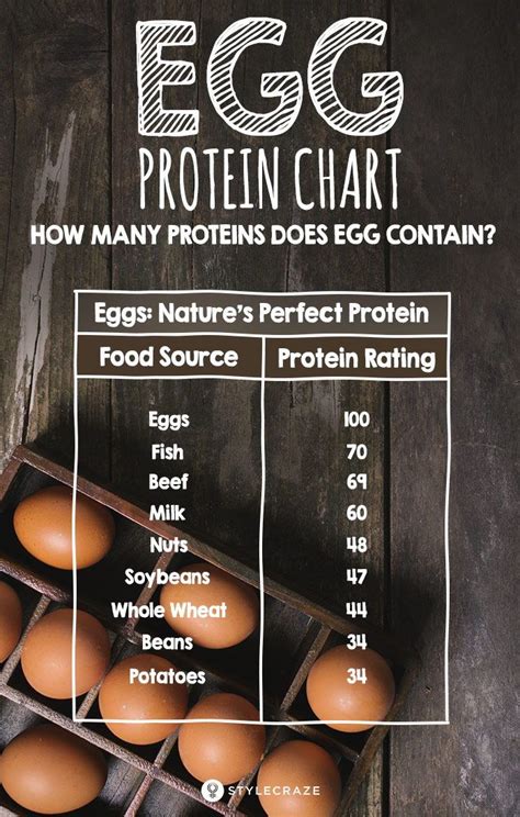 How many protein are in fried egg on croissant - calories, carbs, nutrition