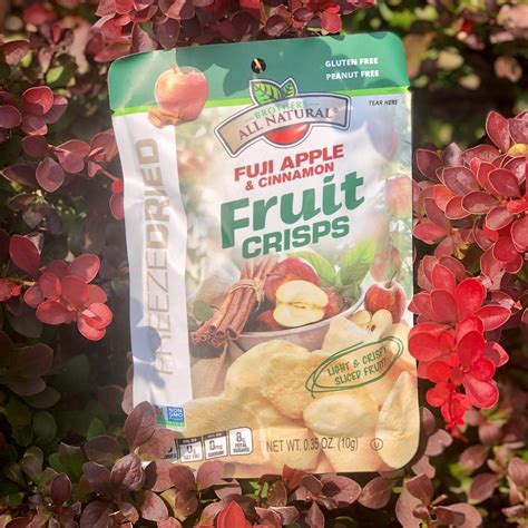 How many protein are in fuji apple slices with cinnamon - calories, carbs, nutrition