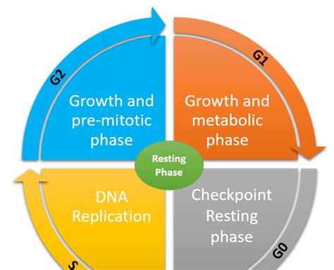 How many protein are in g2 - calories, carbs, nutrition