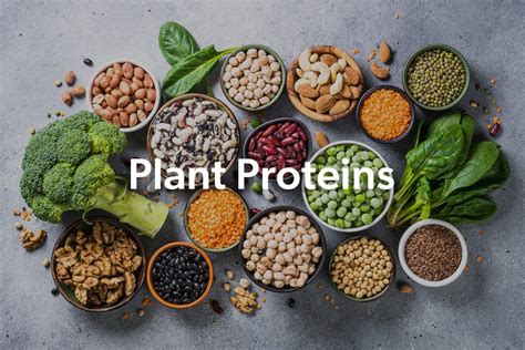 How many protein are in garden combination - calories, carbs, nutrition