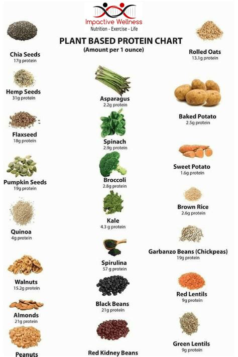 How many protein are in garden salad 9 oz - calories, carbs, nutrition