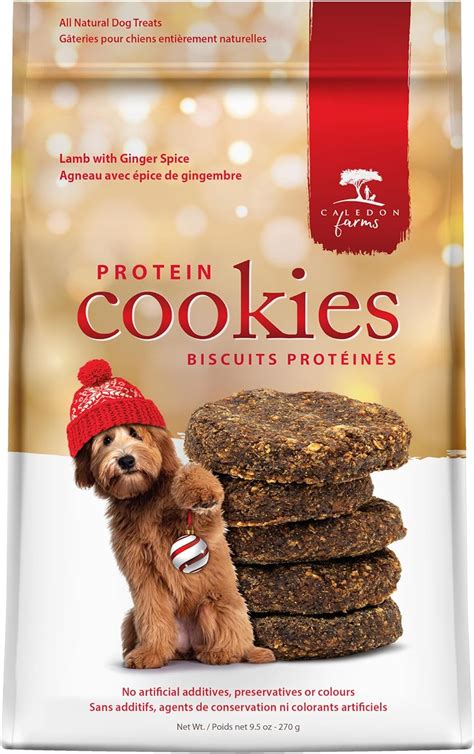 How many protein are in ginger cookies - calories, carbs, nutrition