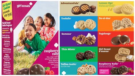 How many protein are in girl scouts, chalet cookies - calories, carbs, nutrition