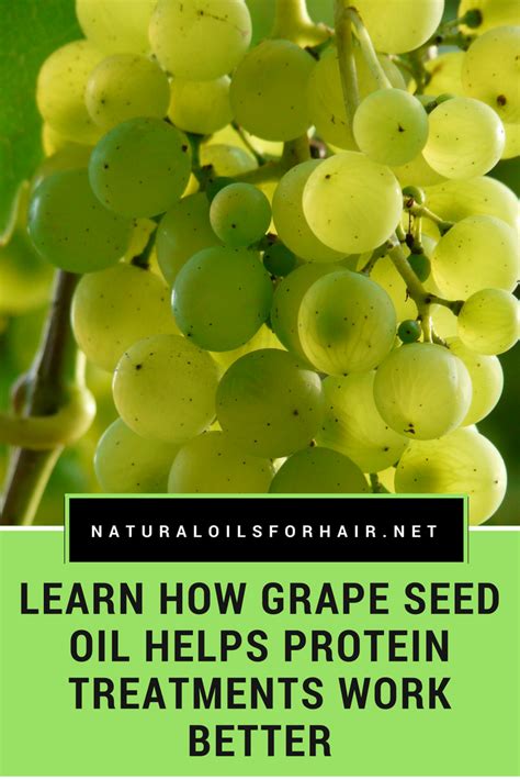 How many protein are in grapeseed oil - calories, carbs, nutrition