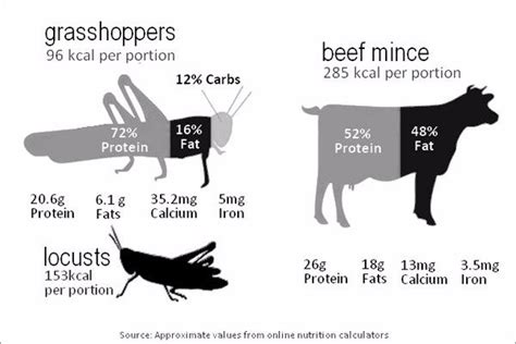 How many protein are in grasshopper mint & fudge cookies - calories, carbs, nutrition