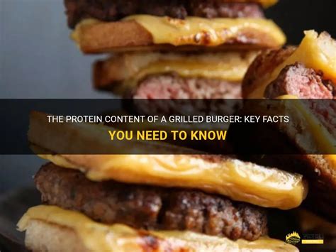 How many protein are in grilled burger with brie & mushrooms - calories, carbs, nutrition