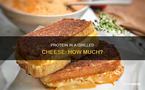 How many protein are in grilled cheese, amer. - calories, carbs, nutrition