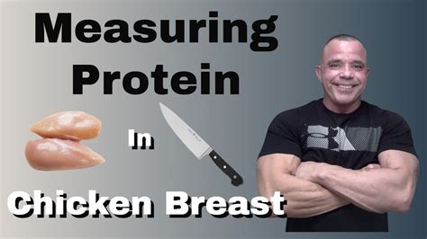 How many protein are in grilled sandwich - calories, carbs, nutrition