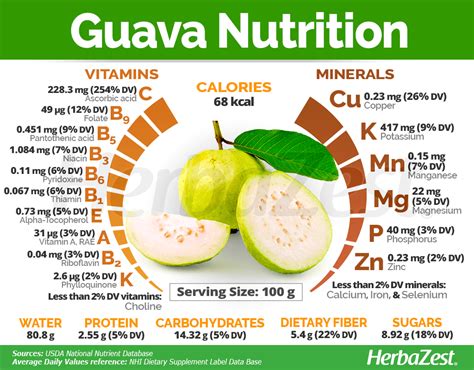 How many protein are in guava - calories, carbs, nutrition
