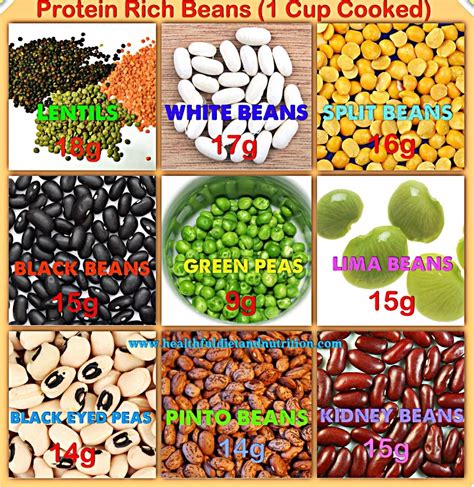 How many protein are in house vegetarian red beans & rice - calories, carbs, nutrition