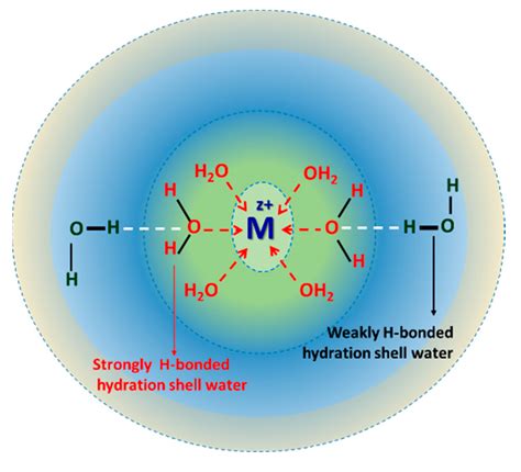 How many protein are in hydration - calories, carbs, nutrition
