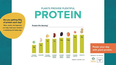 How many protein are in in sunflower oil 74 g - calories, carbs, nutrition