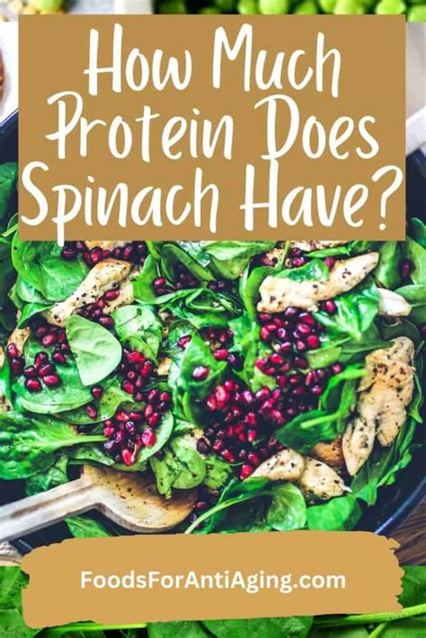 How many protein are in italian spinach & white beans - calories, carbs, nutrition